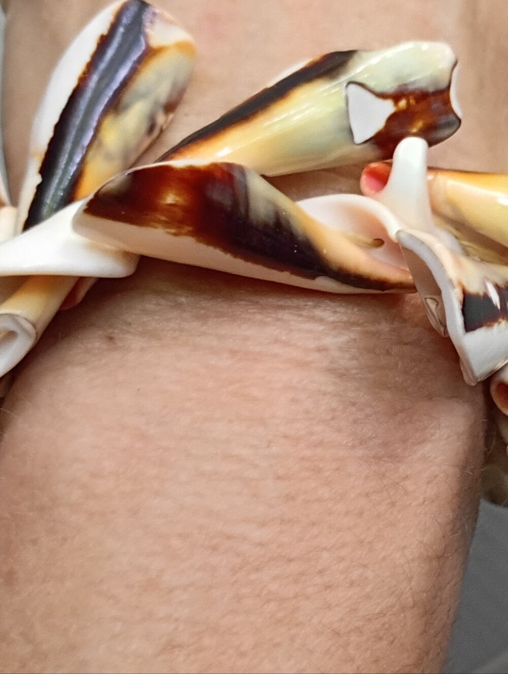 Vintage Seashell Bracelet